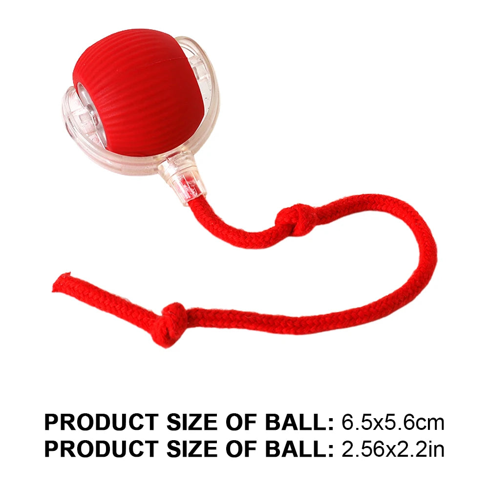 Cat Interactive Ball Toy Automatic