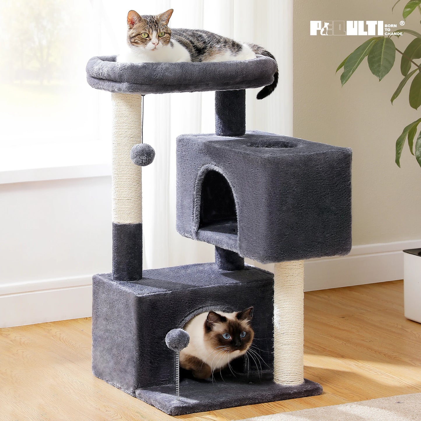 Cat Tree for Indoor Cats