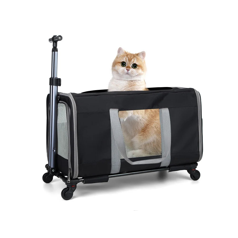 Trolley for cats