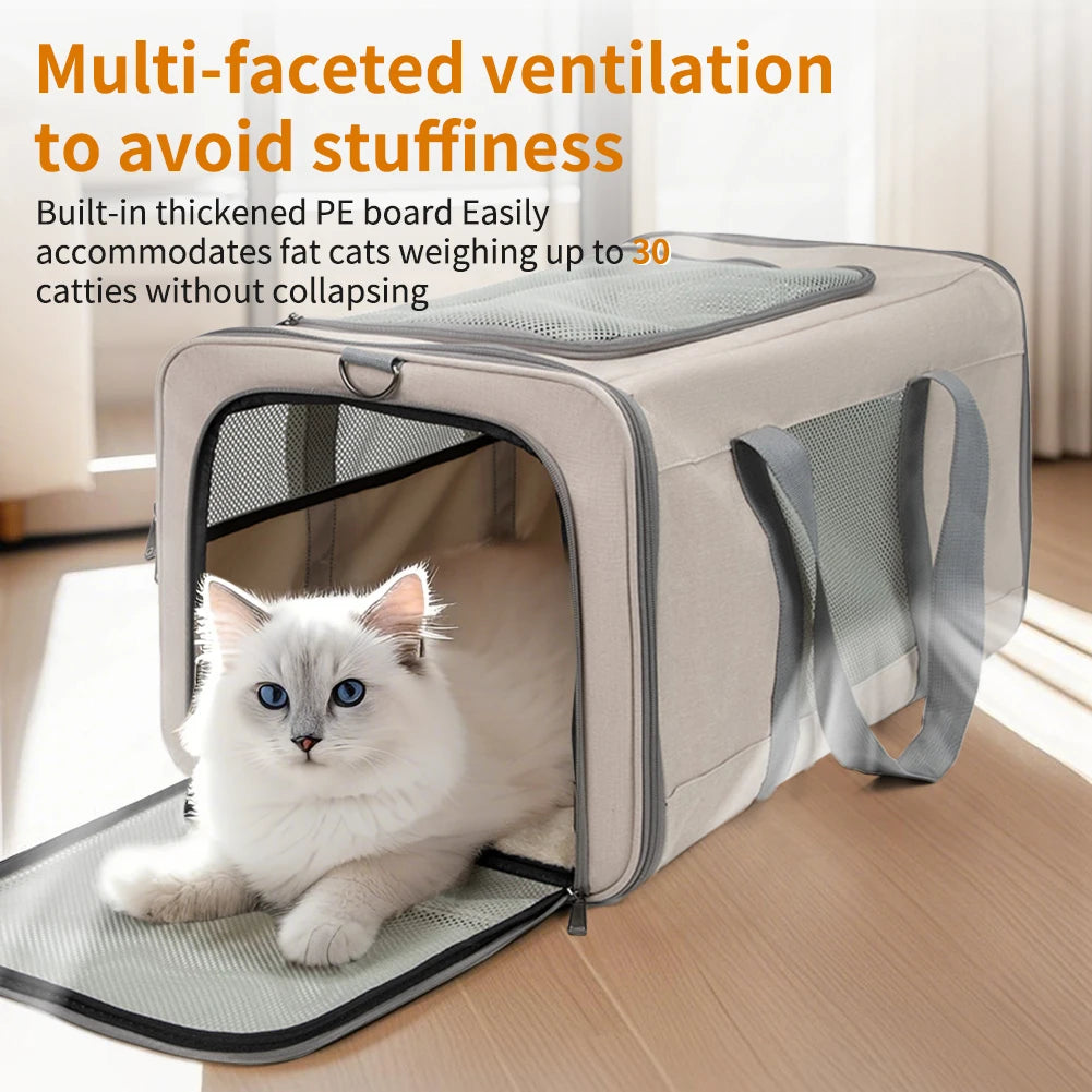 Trolley for cats