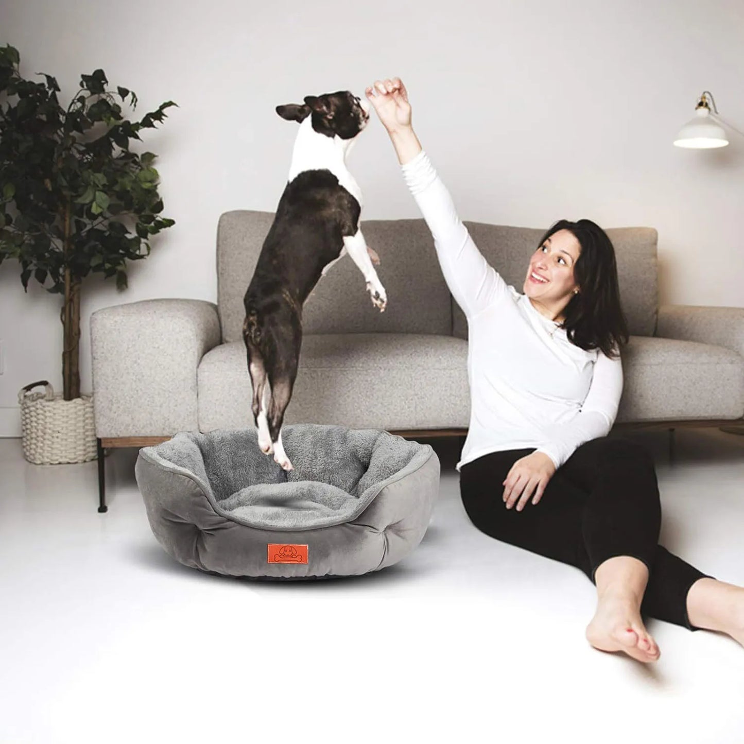 Pet Bed for Small and Large Pets
