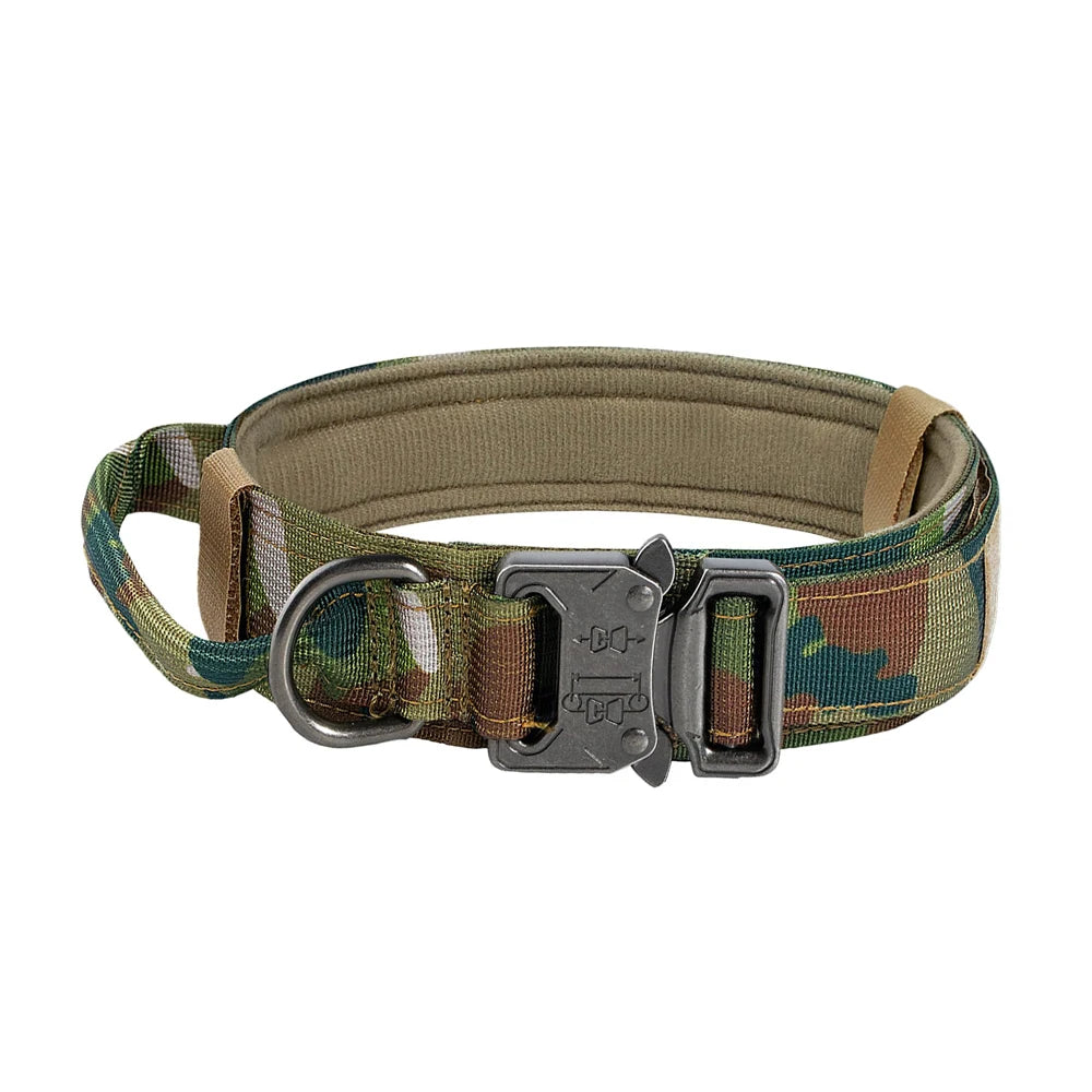 Dog Collar And Leash Set