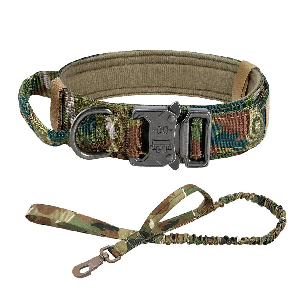 Dog Collar And Leash Set