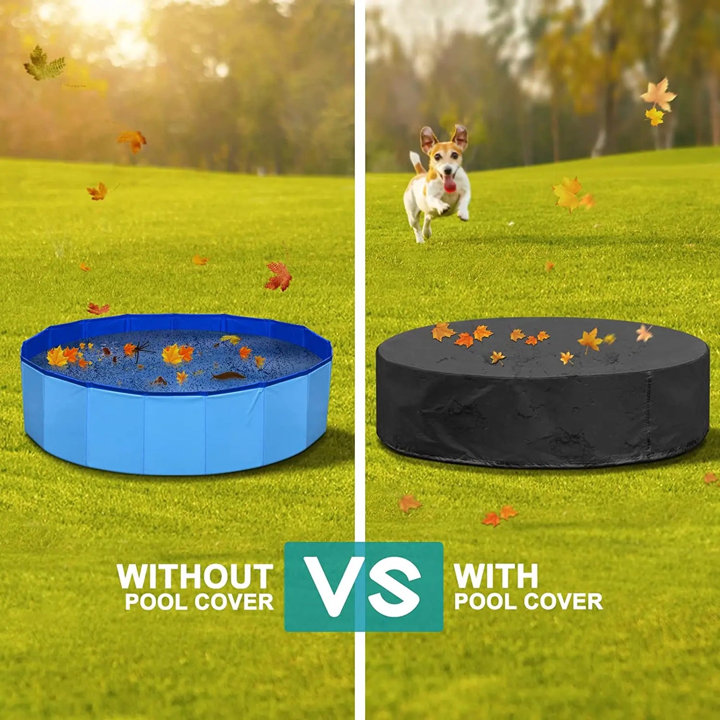 Dog Swimming Pool & Pool Cover
