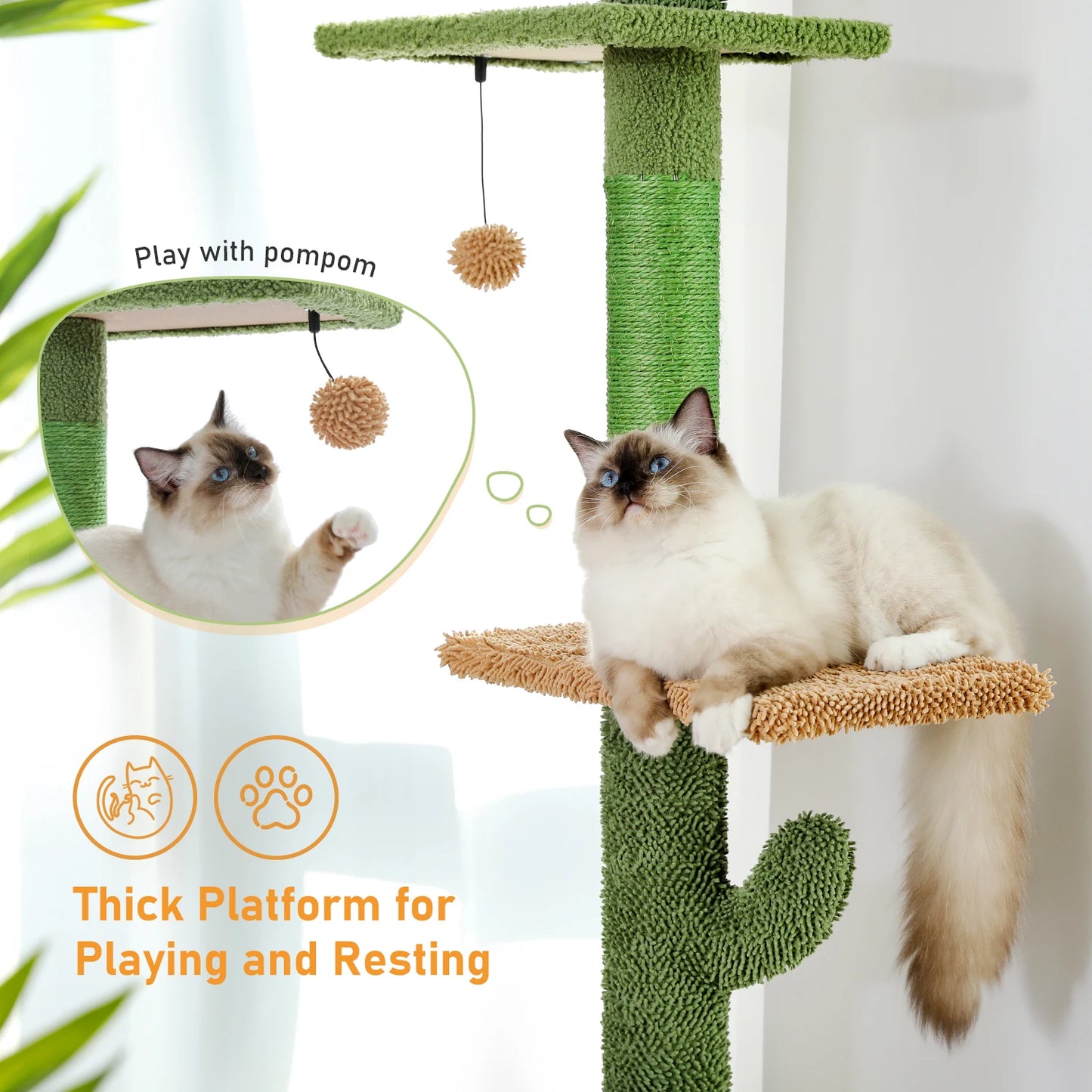 Cat Tree Tower Cactus