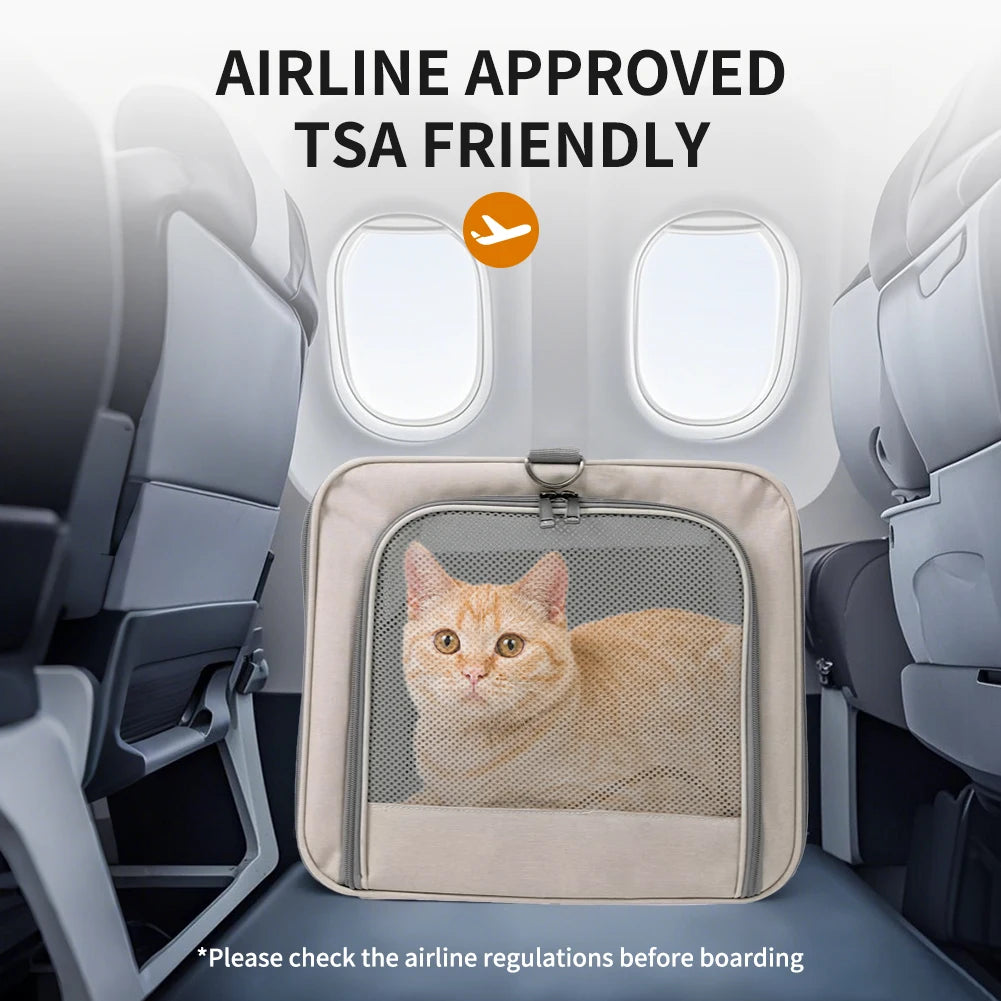 Trolley for cats