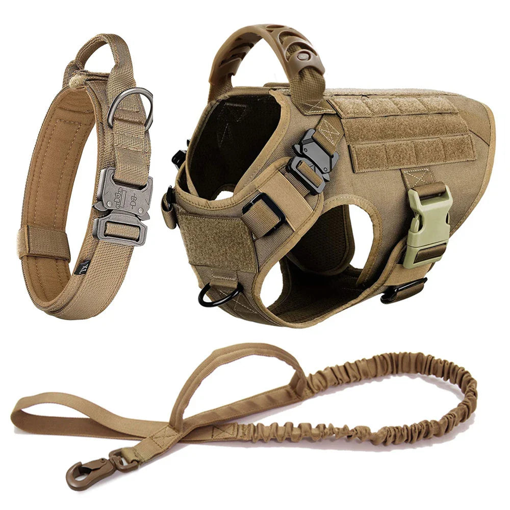 Dog Toys and Accessories