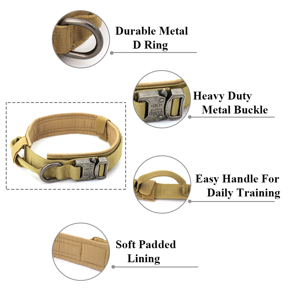 Dog Collar And Leash Set
