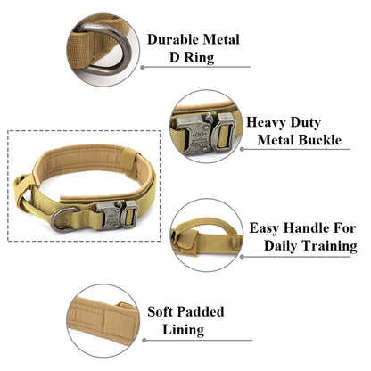 Dog Collar And Leash Set