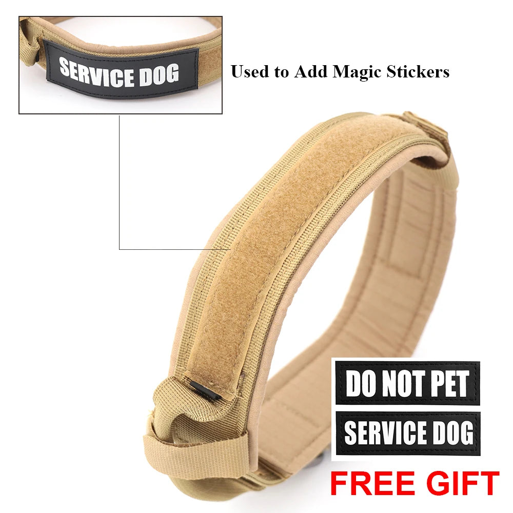 Dog Collar And Leash Set