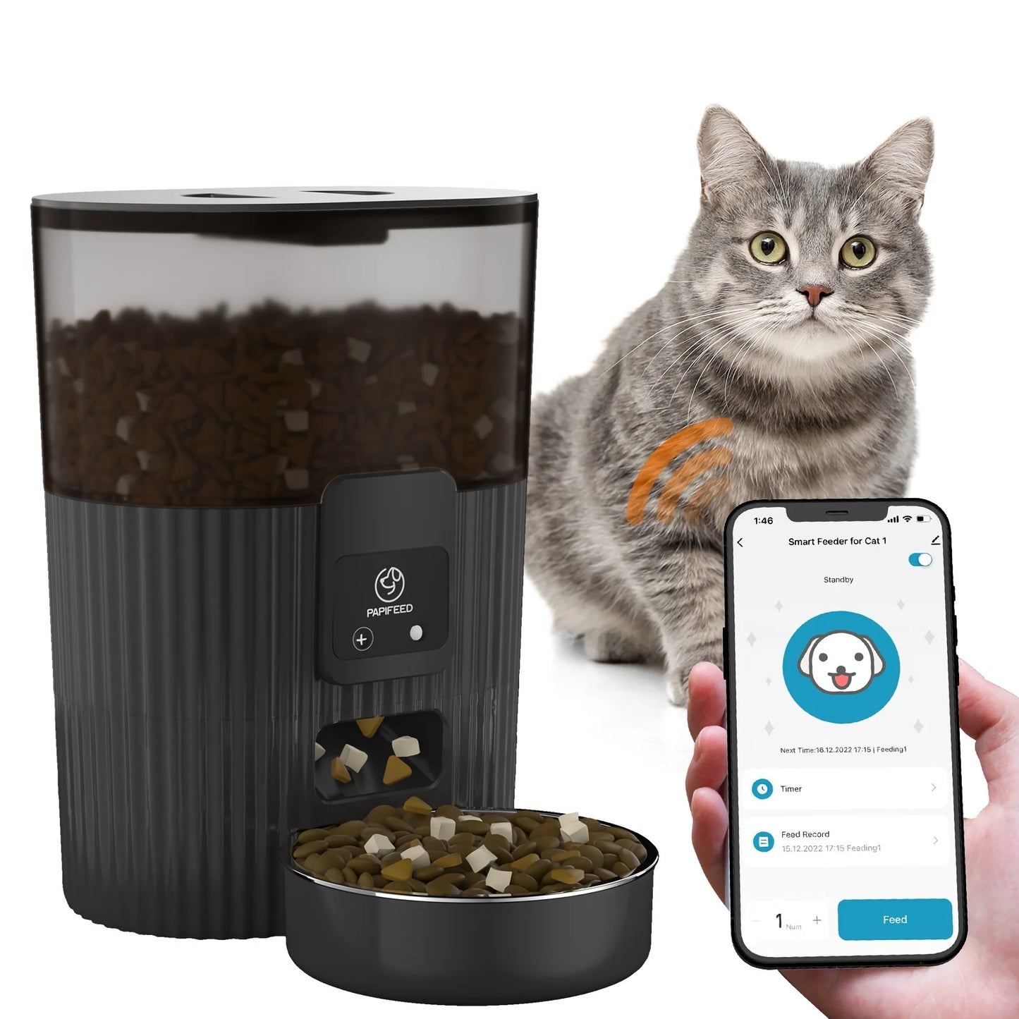 Automatic feeder