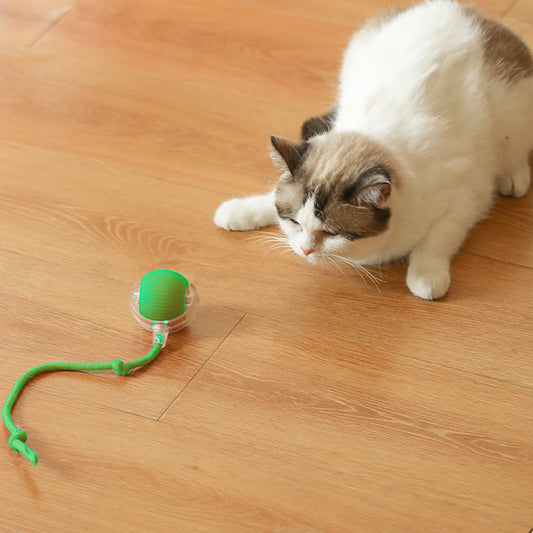 Cat Interactive Ball Toy Automatic