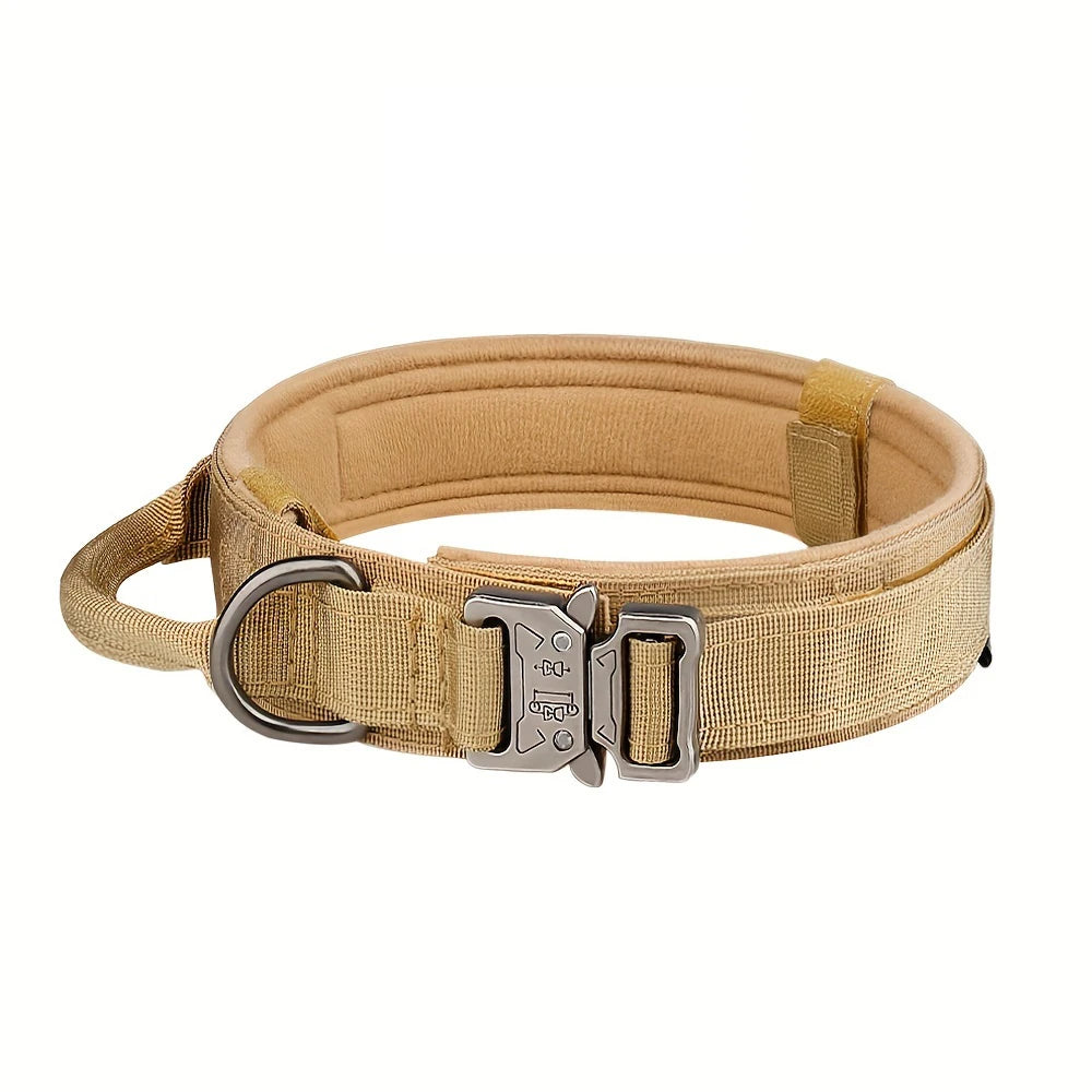 Dog Collar And Leash Set
