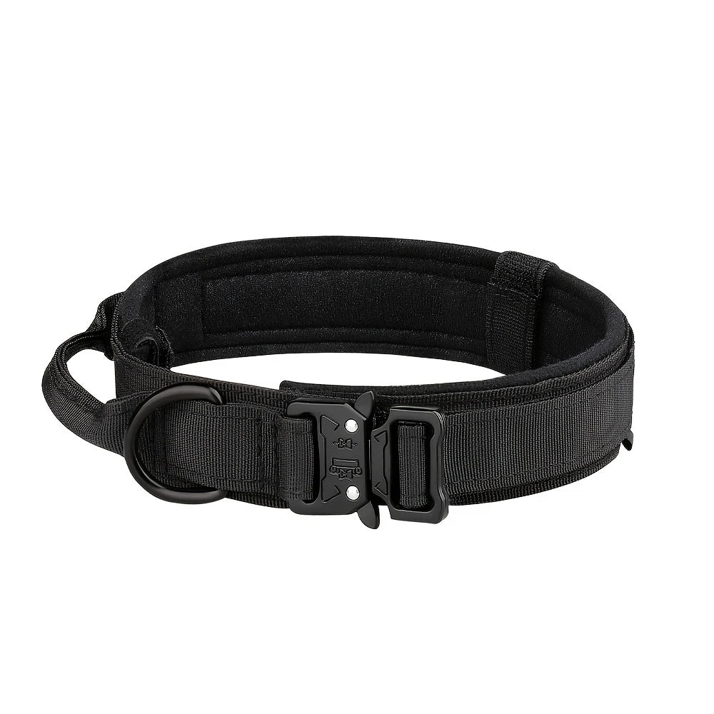 Dog Collar And Leash Set