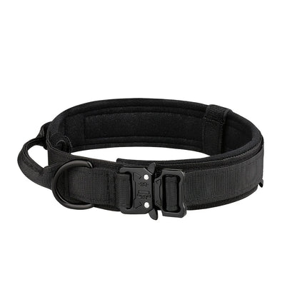 Dog Collar And Leash Set