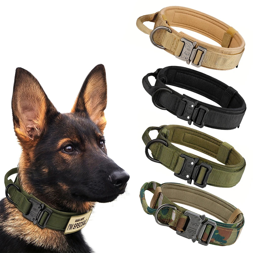 Dog Collar And Leash Set