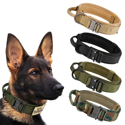Dog Collar And Leash Set