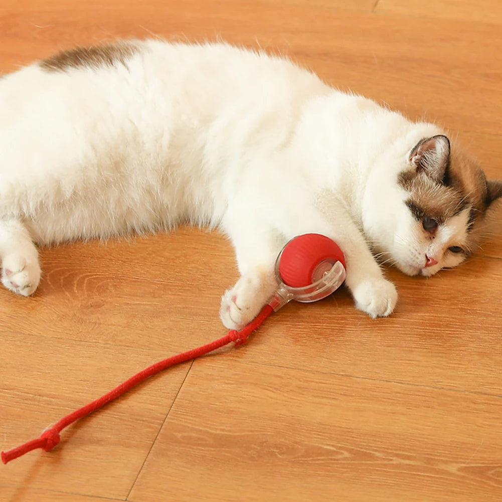 Cat Interactive Ball Toy Automatic