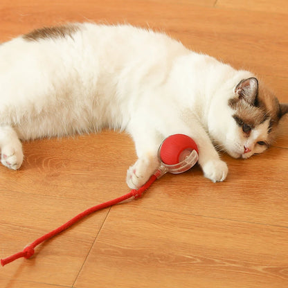 Cat Interactive Ball Toy Automatic
