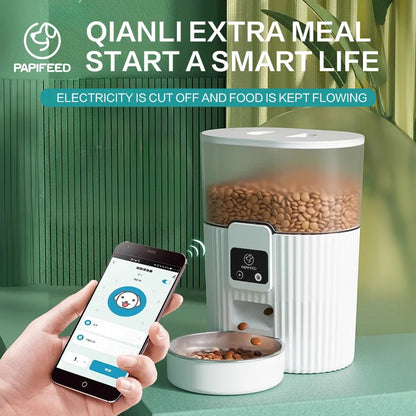 Automatic feeder