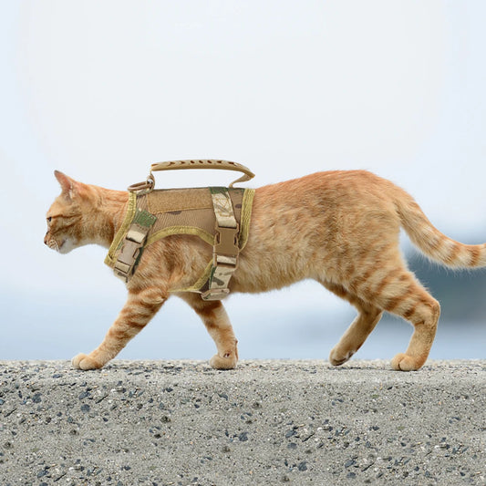 Cat Harness Leash