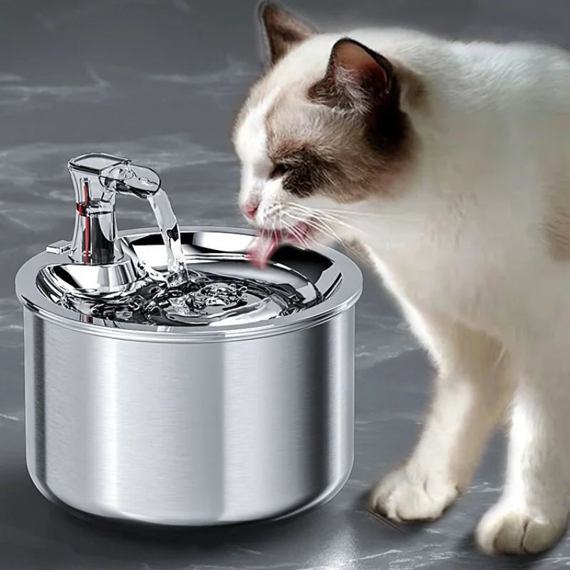 Automatic water fountain