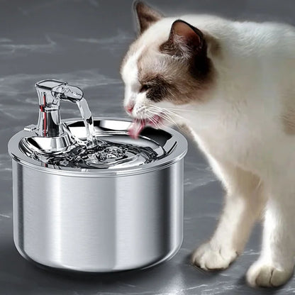 Automatic water fountain