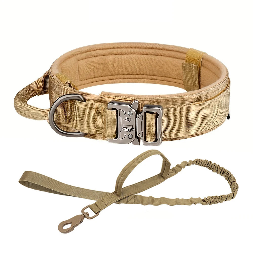 Dog Collar And Leash Set