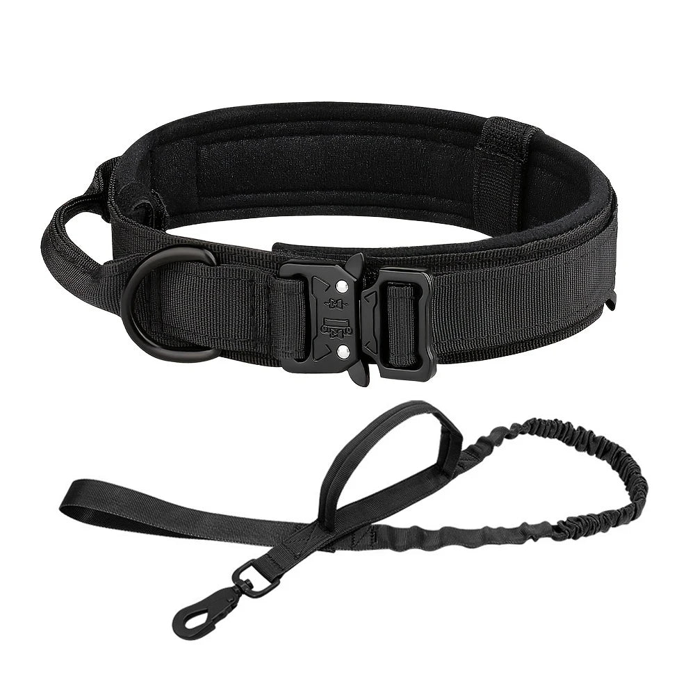 Dog Collar And Leash Set