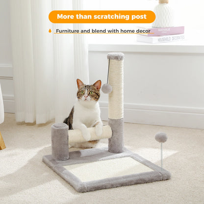 Cat Scratching Post